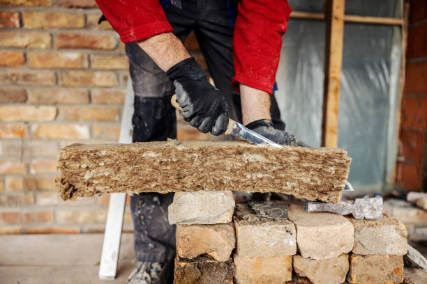 Best Spray Foam Insulation  in Oracle, AZ
